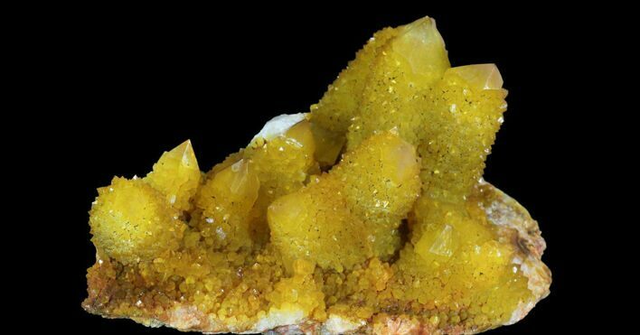 Sunshine Cactus Quartz Crystal - South Africa #96267